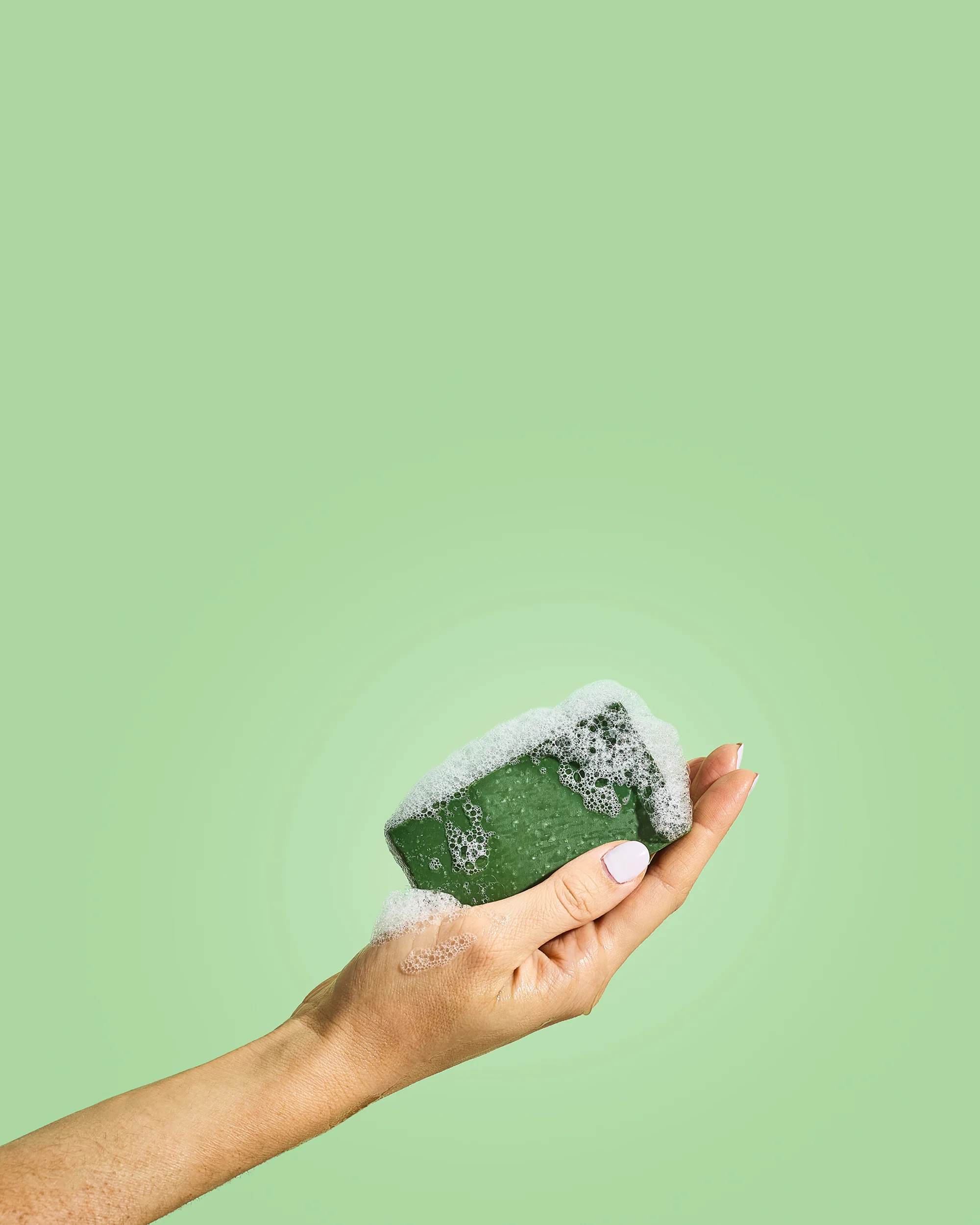 Eucalyptus Escape (12 pack) - Image 2